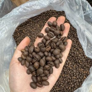 Robusta Culi Green Coffee Beans