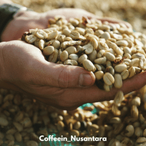 1 - Lac Duong Arabica Green Coffee Beans (Washed Process), Screen 16/14